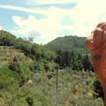 Agriturismo in Chianti con vista panoramica